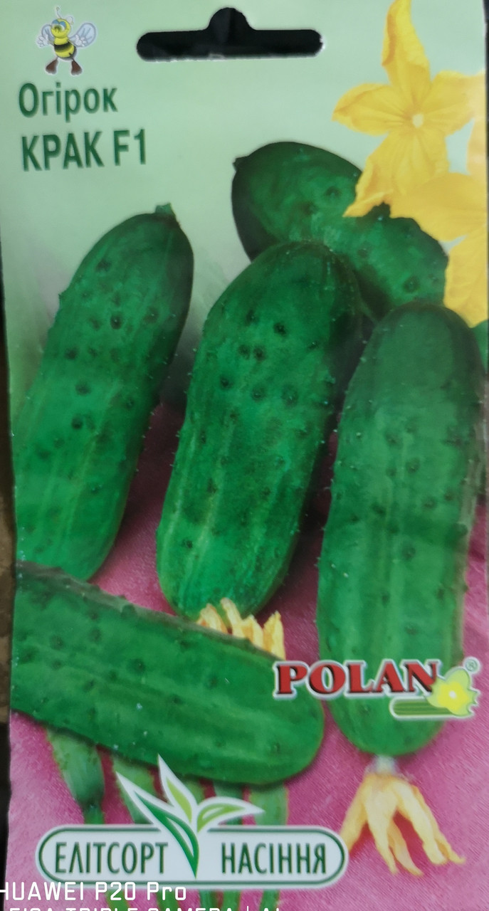 Огірок Крак F1 20 нас.