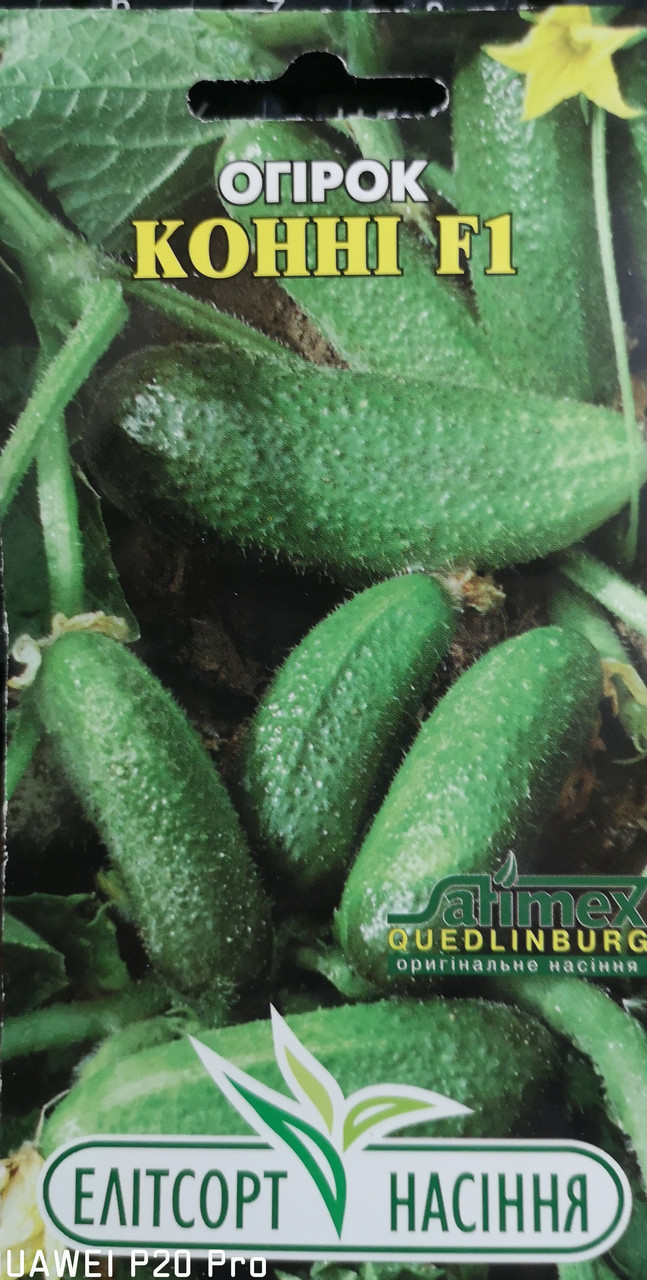 Огірок Конні F1 20 нас.