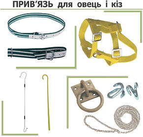 ПРИВ'ЯЗЬ для овець та кіз 