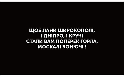 Вінілова наклейка Щоб лани ...