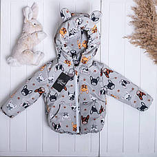 Демісезонна дитяча курточка "Вушка" (86, 92, 98, 104, 110, 116, 122, 128, 134), фото 3