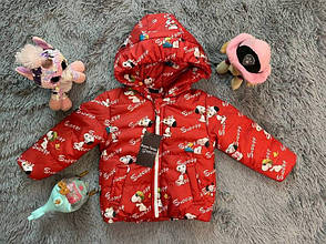 Демісезонна дитяча курточка плащівка ( 86, 92, 98, 104, 110, 116, 122, 128, 134 ), фото 1