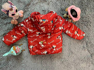 Демісезонна дитяча курточка плащівка ( 86, 92, 98, 104, 110, 116, 122, 128, 134 ), фото 2