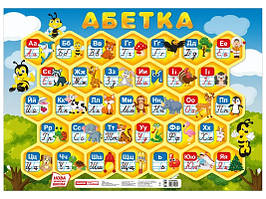 Абетка соти (Прописна) 47Х69 см