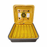 Теплуша Euro 88 PRO 12/50 в комбінованому корпусі, з живленням 12 Вольт, з автоматичним переворотом, на 78 яєць, фото 7