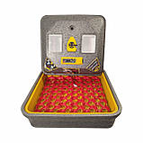 Теплуша Euro 88 PRO 12/50 в комбінованому корпусі, з живленням 12 Вольт, з автоматичним переворотом, на 78 яєць, фото 9