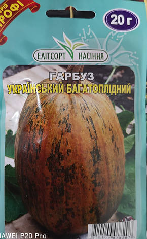 Гарбуз Український багатоплідний 20г., фото 1