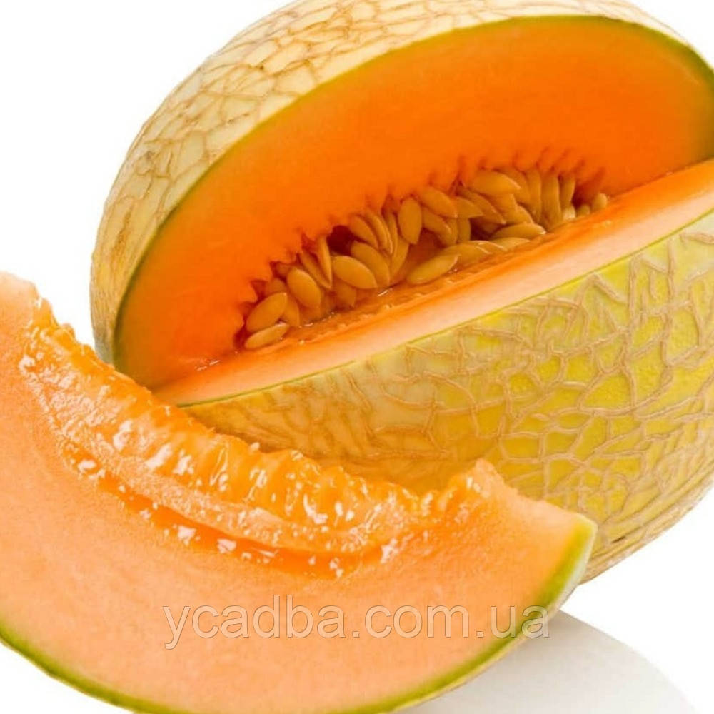 Насіння Дині Амал F1 (1г), фото 1