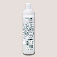 Шампунь для збереження кольору фарбованого волосся BES COLOUR LOCK Clarifying Shampoo 300 мл