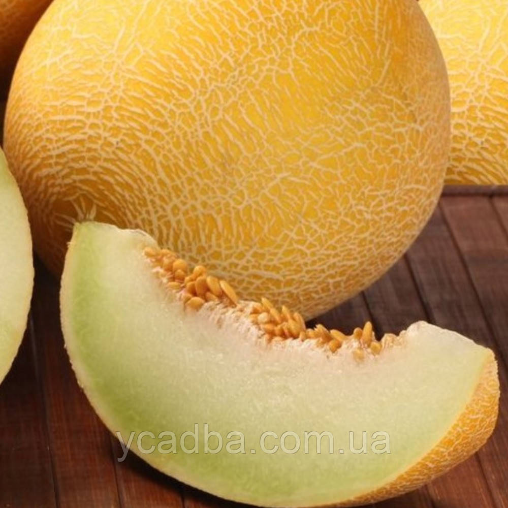 Насіння Дині Берегиня (2г), фото 1