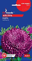 Айстра Принцеса Індра 0.3 г, GL Seeds