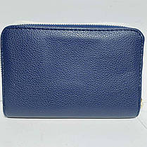 Маленький жіночий гаманець на блискавці К21, фото 2