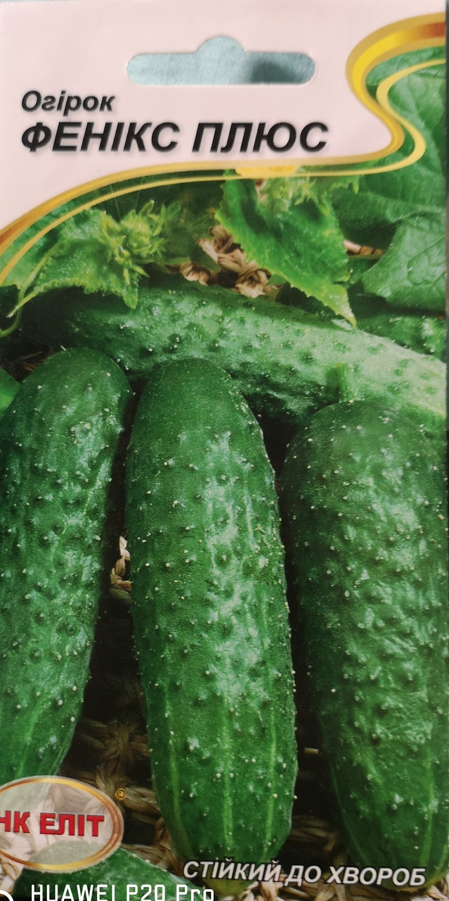 Огірок Фенікс плюс 1г.