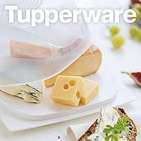 Розумна сирниця Мала Tupperware 20,5 х 20,5 х 9,5 см