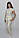 Штани жіночі Класік бавовна 46 розмір, фото 2