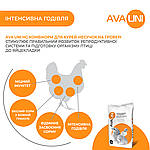 Комбікорм для молодняку курей несучок AVA UNI HG на гровері, фото 4