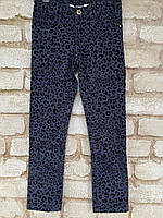1, Стрейчевые темно синие брюки скинни с черным бархатным леопардовым рисунком H&M Размер 6-7 лет Рост 122 см