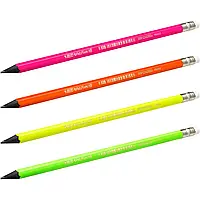 Карандаш простой чернографитный (НВ) BIC Evolution Fluo 942882