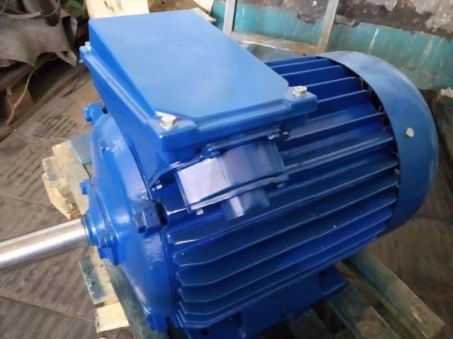 електродвигун 4АМ160S8
