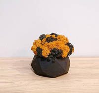 Декоративный цветной мох в бетонном кашпо, Черный/Оранжевый