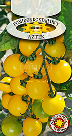 Томат Ацтек / Aztek 0,3 г Roltico, Польща