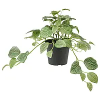 FEJKA Искусственное растение в горшке, комнатная/уличная мозаика/подвесная, 9 см
