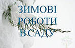  ЗИМОВІ РОБОТИ В САДУ