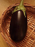 Баклажан "Чорний принц" 30 seeds (30 насінин), фото 2