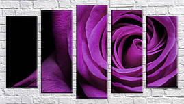 Модульна картина на полотні з 5-ти частин "Бордова троянда"