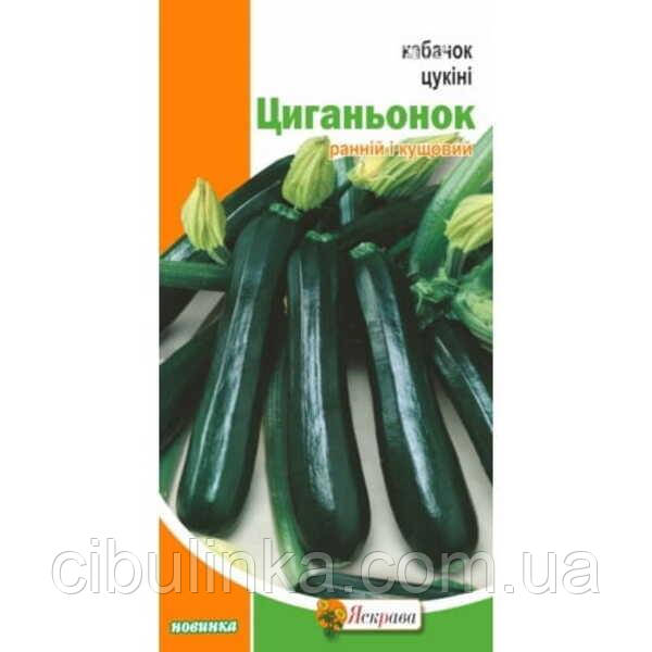 Насіння Кабачок Циганьонок Яскрава (Фасовка: 3 г)
