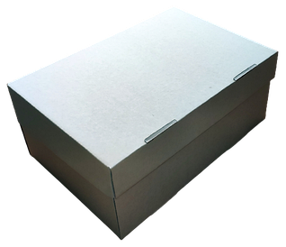 Коробка 25*17*11 см біла (посил)