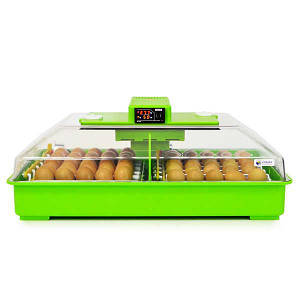 Інкубатор PD60SH