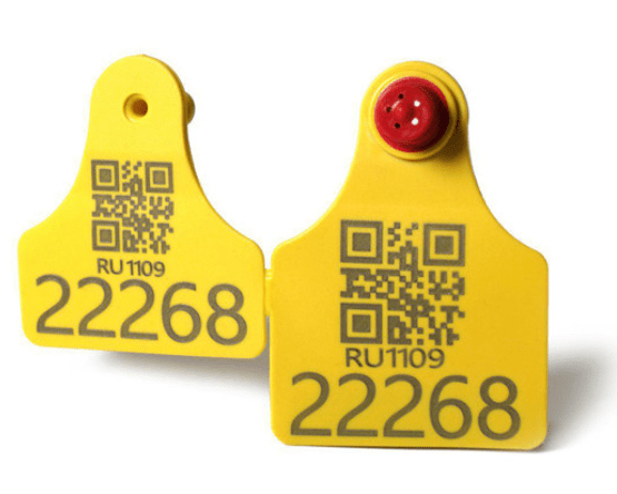 Лазерне гравірування вушних бірок для тварин (овець, кіз, свиней, поросят, ВРХ, корів, телят, собак, кроликів)