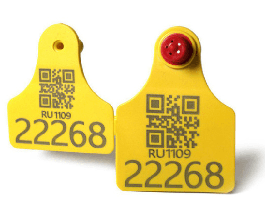 Лазерне гравірування вушних бірок для тварин (овець, кіз, свиней, поросят, ВРХ, корів, телят, собак, кроликів), фото 1