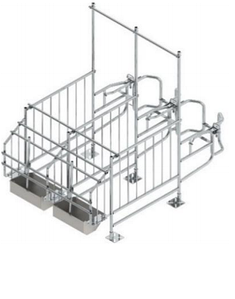 Верстат для запліднення свиней П-подібний (модель 20/2)