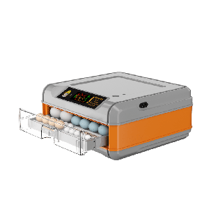 Інкубатор автоматичний 60-OR (220/12в)