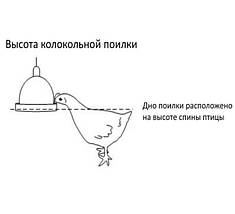 Автоматична підвісна колокольна поїлка (КП-2) для птиці (курей, курчат, курчат, перепелів, індиків, бройлера), фото 4