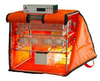 Інкубатор для гусей Mini Goose Light 56, фото 1
