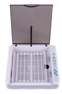 Інкубатор автоматичний (HHD 36)