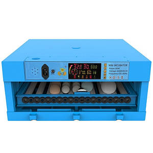 Інкубатор автоматичний 60-B (220/12в)