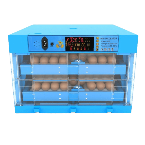 Інкубатор автоматичний 120-B (220/12в)