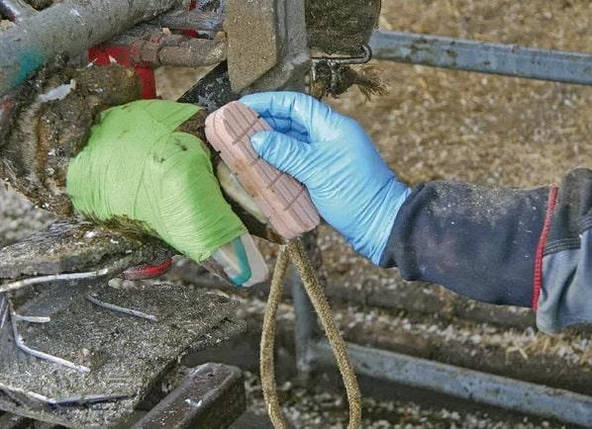 Стартовий набір для ратиць, Техновіт-2-Бонд, фото 3