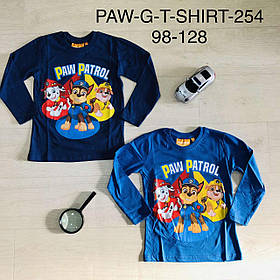 Реглан для хлопчиків оптом, Disney, 3-8 років, № PAW-GT-Shirt-254