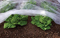 Агроволокно 30 гр/м² зимне-весеннее, белое, 1.6 х 100м, агроволокно для раннего урожая