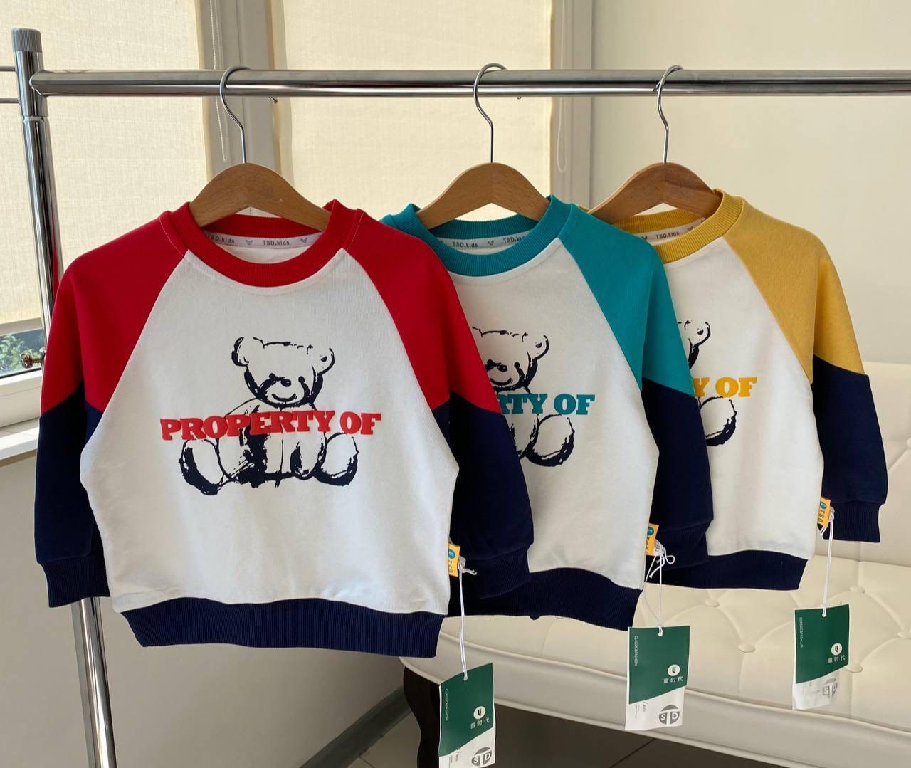 Кофта світшот для хлопчика "Ведмедик" Жовта 2267 10, T.S.D.Kids, Жёлтый, Для мальчиков, Весна Осень, 100 , 4 года