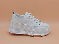 Світлі кросівки. Маленькі та стандартні розміри (37, 38, 39).