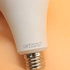 Акумуляторна LED лампочка 15 Вт (цоколь E27) / Світлодіодна аварійна лампа перезаряджувана, фото 7