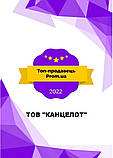 Фліпчарт сухостиральний магнітний Popchart 100х70см, на тринозі, 2011 (TF01/70), фото 2