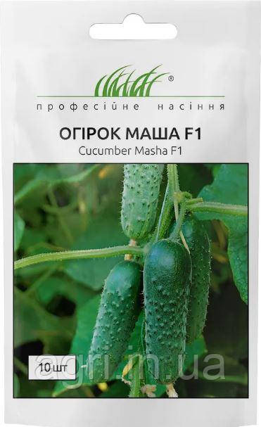 Огірок Маша F1, Seminis. Нідерланди