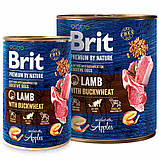 Brit Premium by Nature Lamb з ягням і гречкою для собак 800 г, фото 2